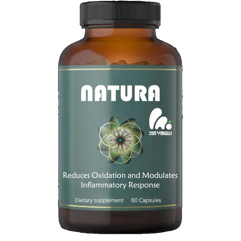 Ginger Tea - Activité antioxydante - contenant du curcuma,
